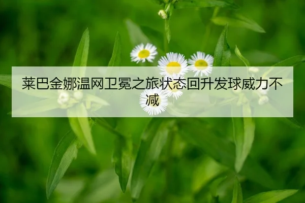 lai-ba-jin-na-wen-wang-wei-mian-zhi-lv-zhuang-tai-hui-sheng-fa-qiu-wei-li-bu-jian-2-201.jpg